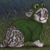 [Dwarf] Froggy Sweater